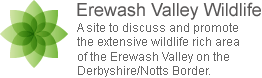 erewashvalleywildlife