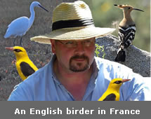 birdwatch