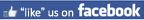 Become a fan of Bluebird Technology on Facebook
