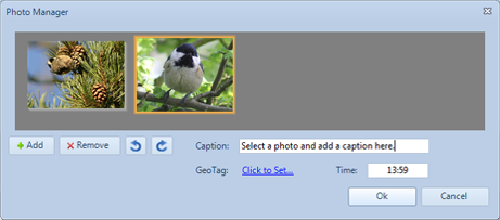 Photo Manager