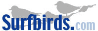 surfbirds
