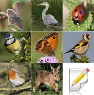 Wildlife Journal